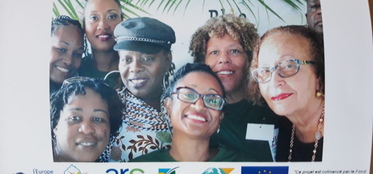 Manifestation Avec « Elles » : un nouveau regard sur mon insertion, le mardi 07 mai 2019: Action « Fanm Doubout Pou Vansé »